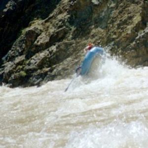 Meet your Posher, Dale